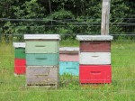 Bee Boxes ACT